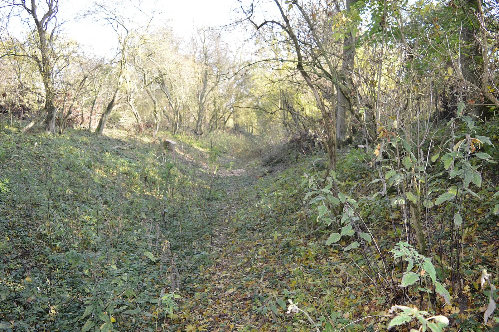 Mowsbury Hill