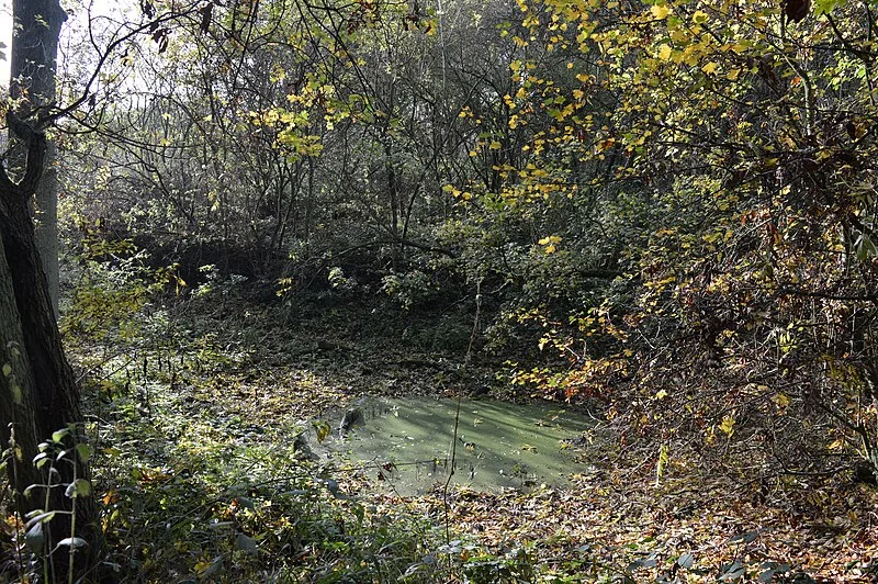 Mowsbury Hill