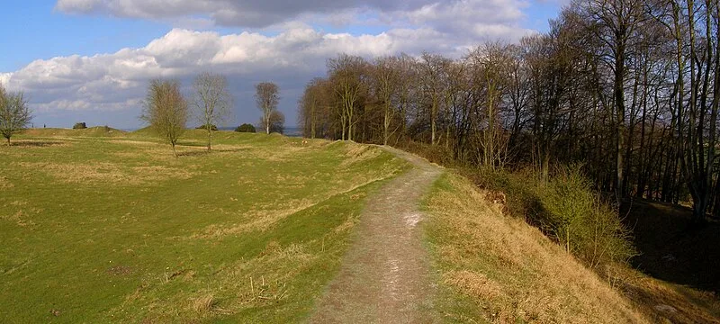 Danebury