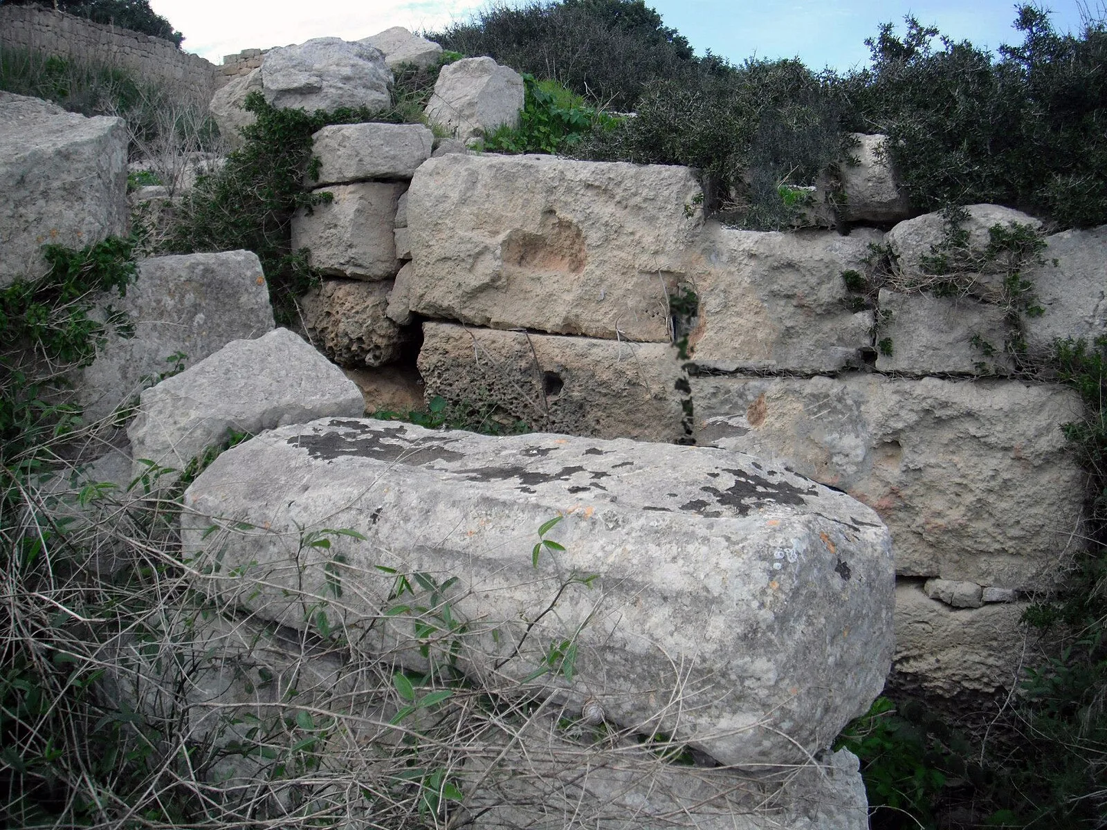 Ta' Kaċċatura