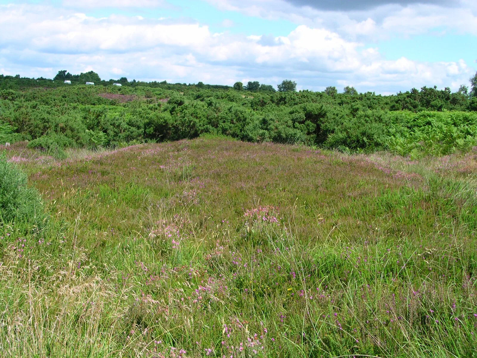 London to Lewes Way