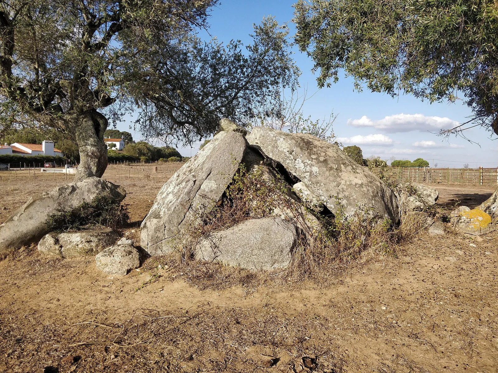 Antas da Valeira