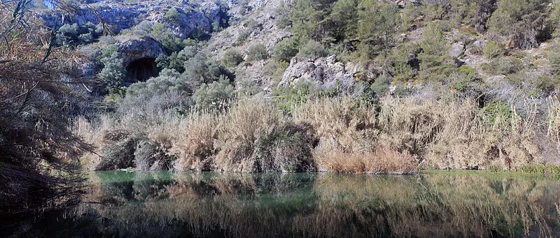 Cova Negra
