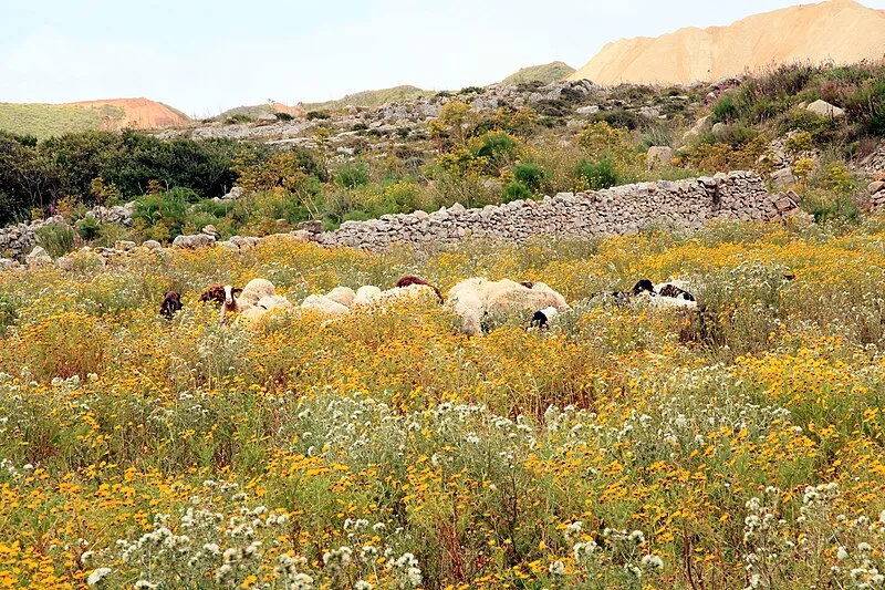 Misraħ Għar il-Kbir