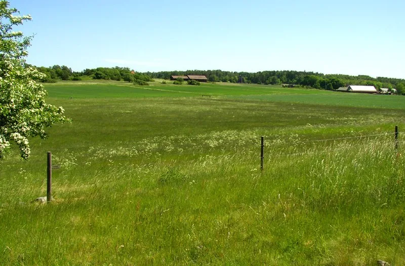Björkö, Ekerö