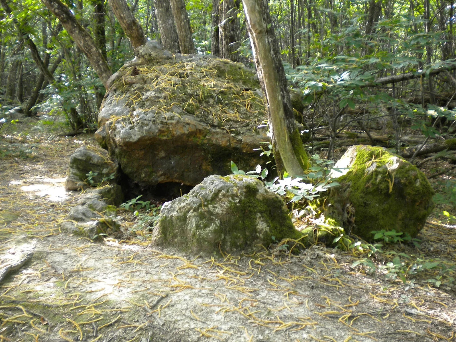 Peyre-Brune