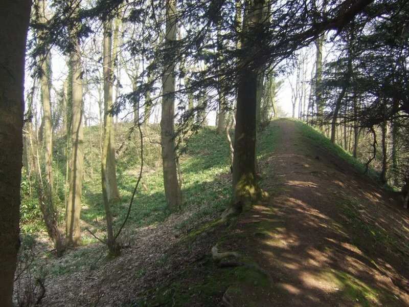 Wychbury Ring