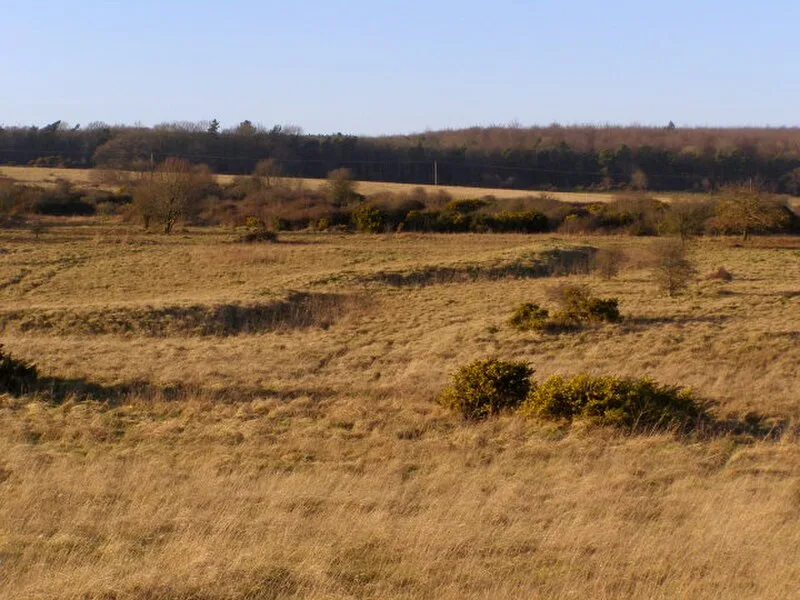 Martin Down Enclosure