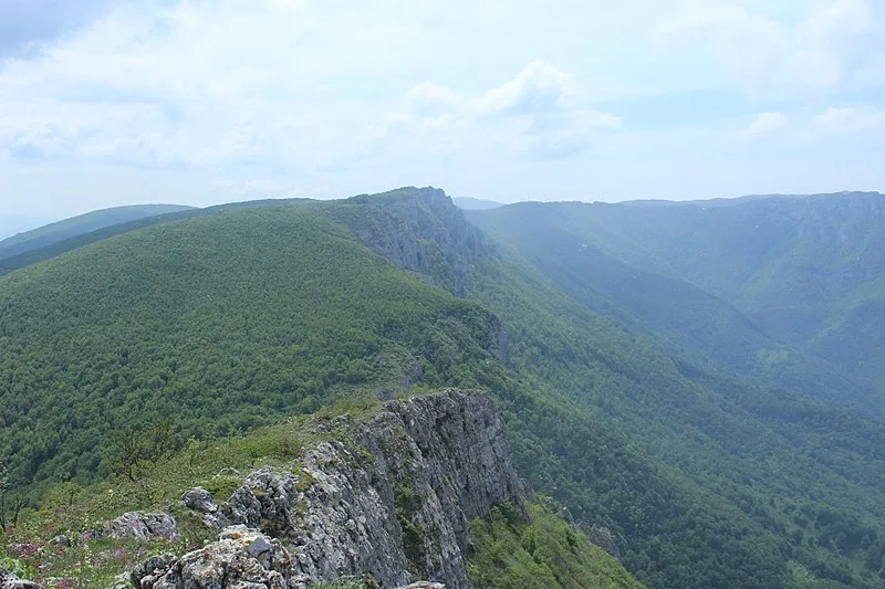 Pešturina