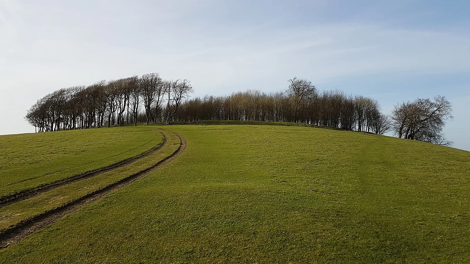 Chanctonbury Ring