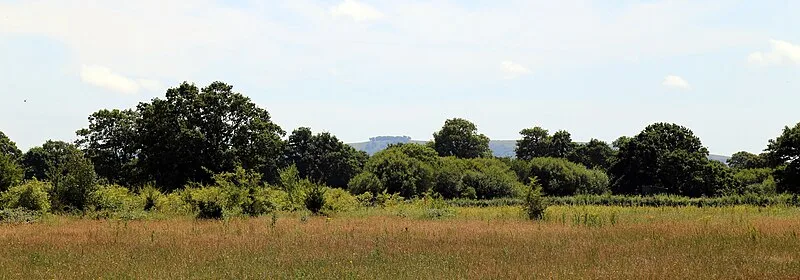 Chanctonbury Ring
