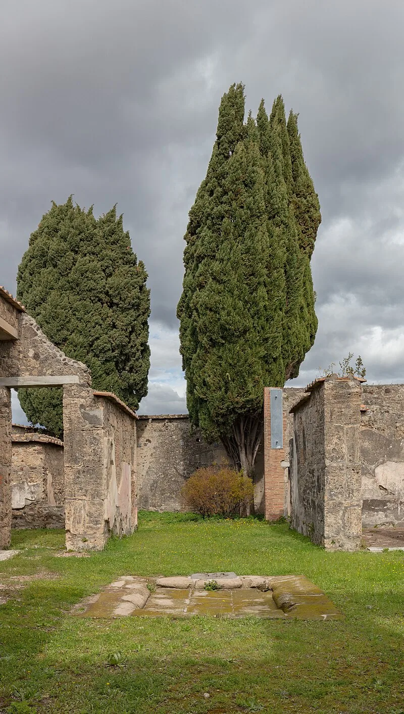 House of the Surgeon, Pompeii