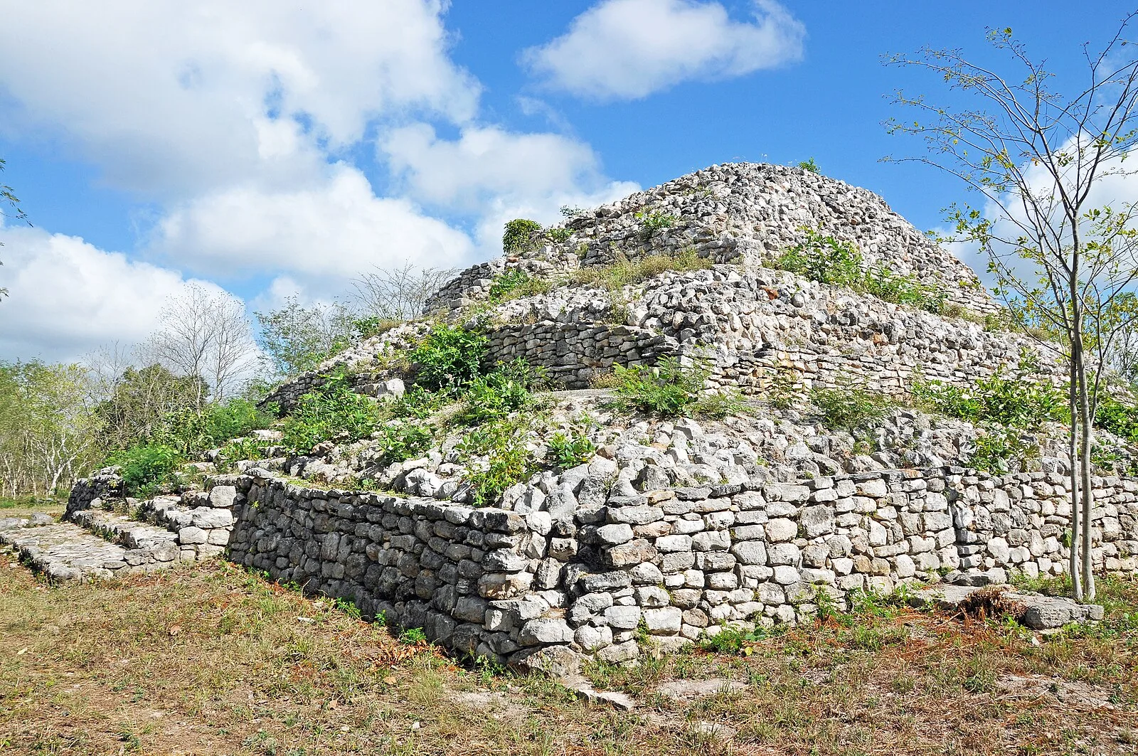 Yaxuna
