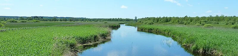 Federsee