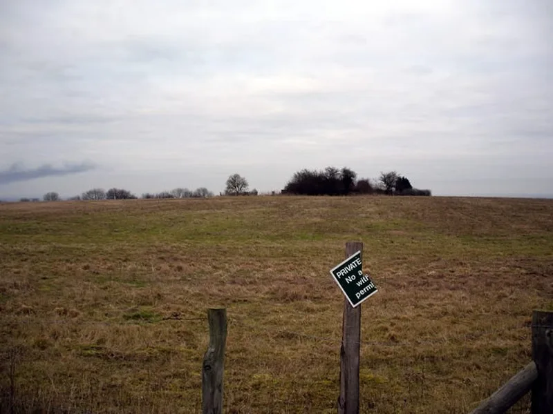 Woolbury