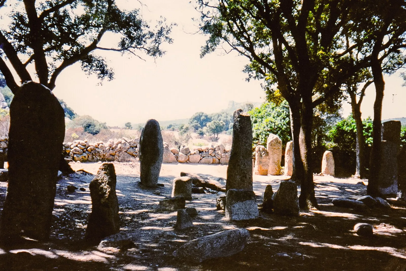 Rinaghju