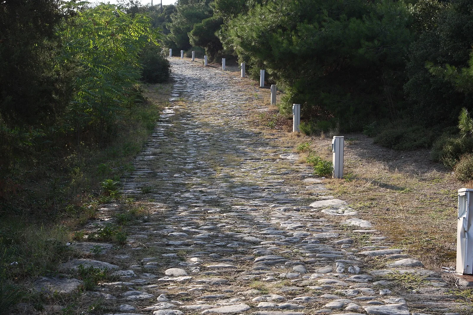 Via Egnatia