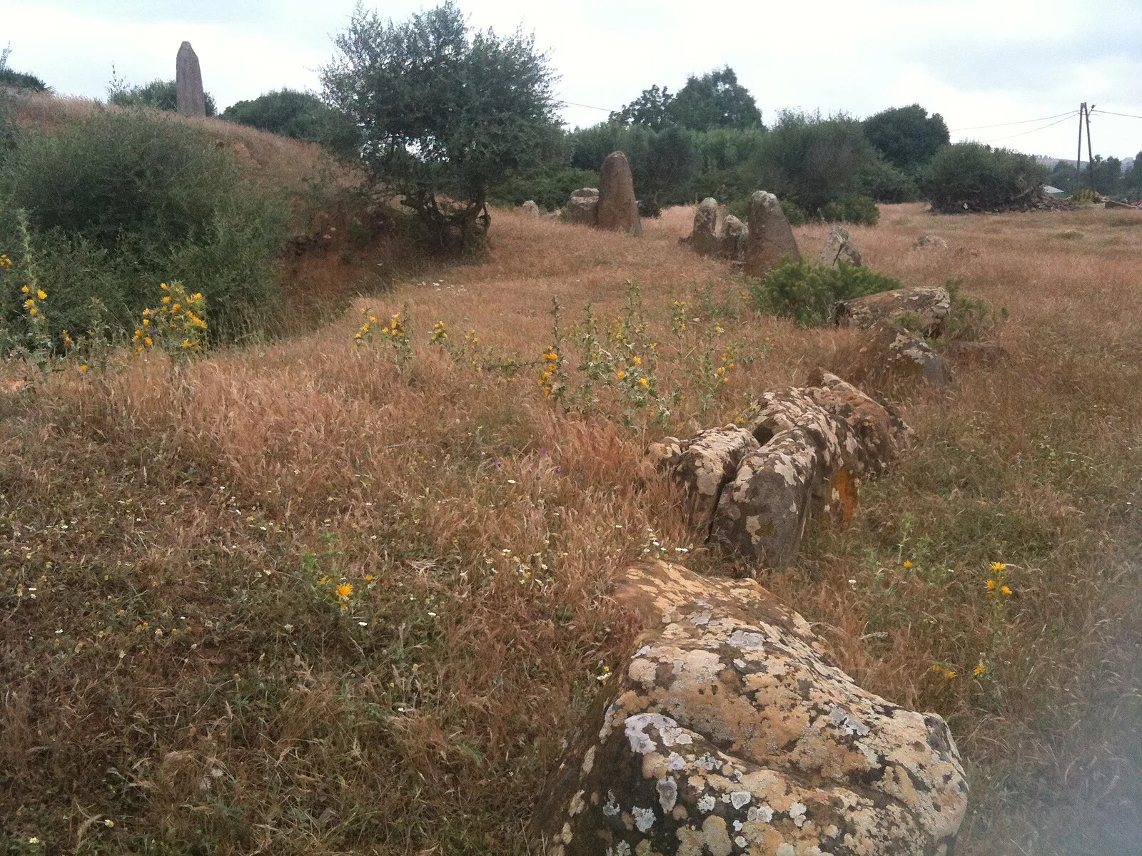 Cromlech de Mzoura