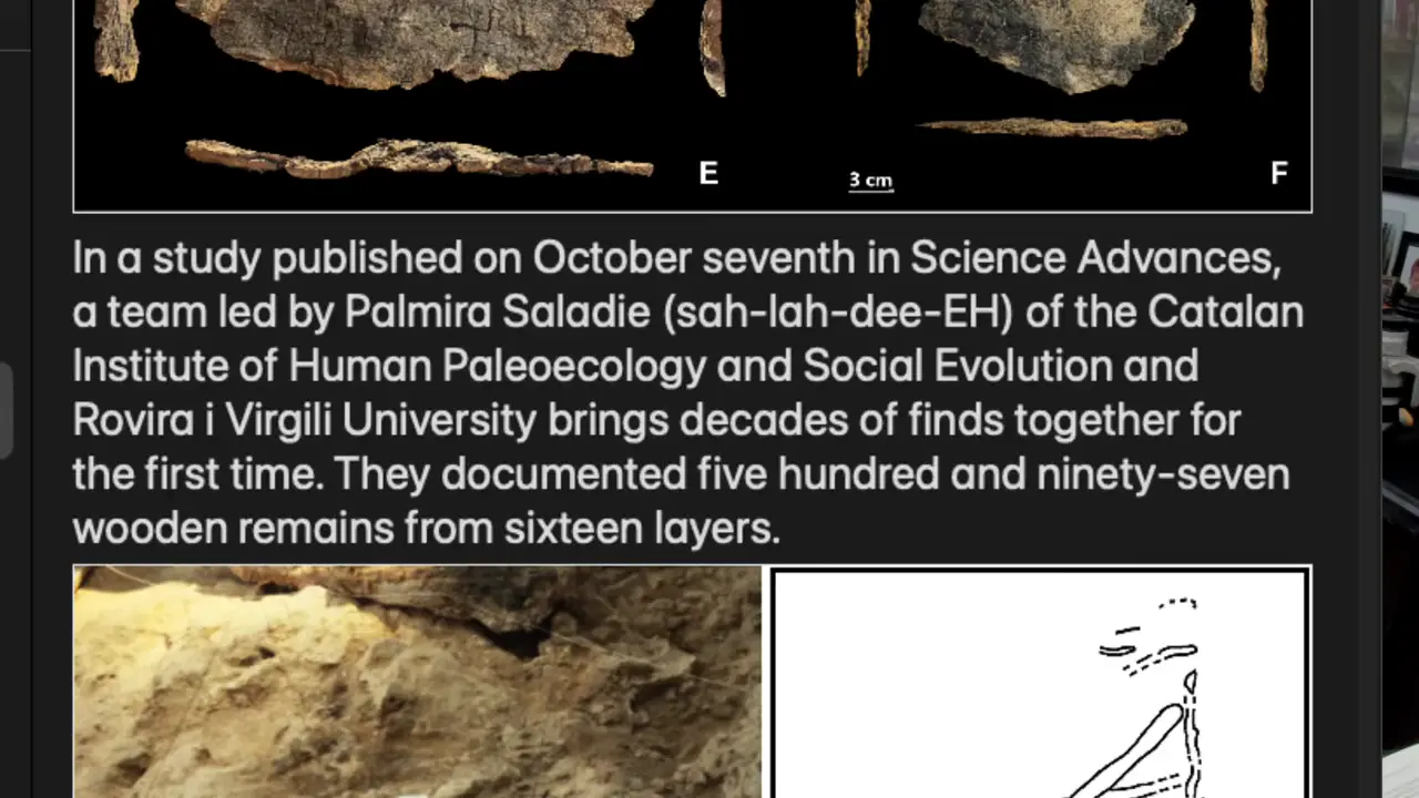 LIVE ~ PREHISTORIC ARCHAEOLOGY NEWS From Around the World | 17/10/2026 02:00PM BST