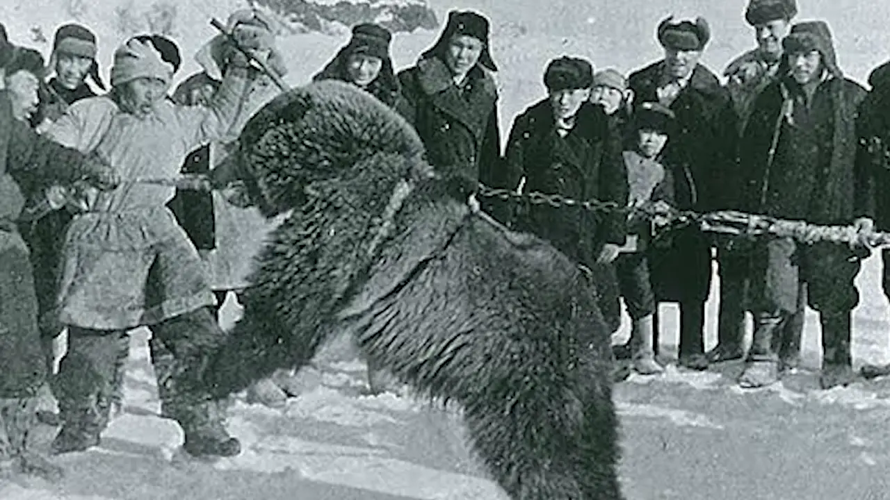 The Bear Cult Mystery (Europe, Asia, North America)