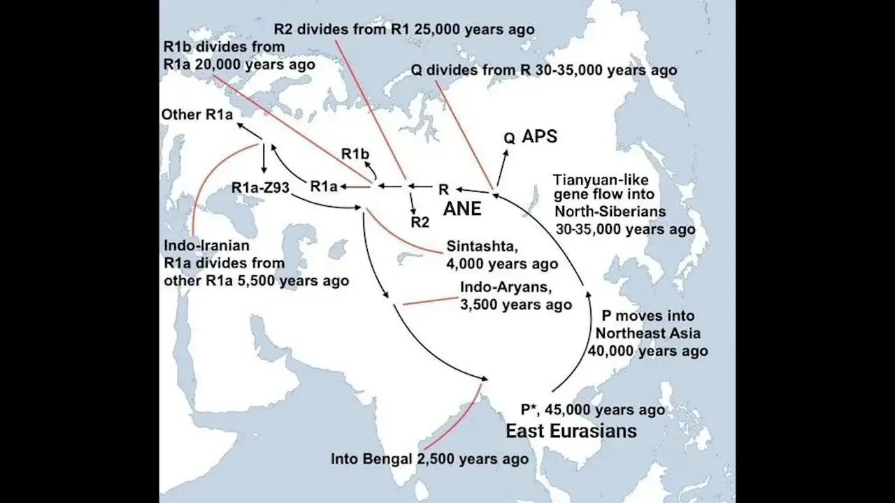 The Bear Cult Mystery (Europe, Asia, North America)