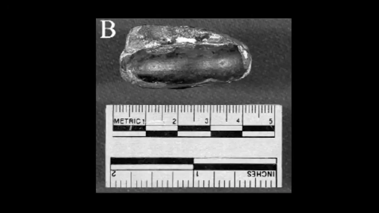 10 Ancient "Artifacts" That Turned Out To Be Natural