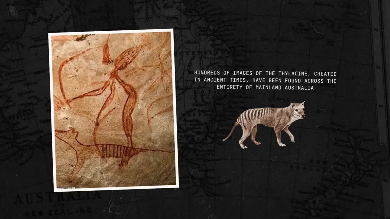 Over 160 Aboriginal rock art depictions of Thylacine found across Australia