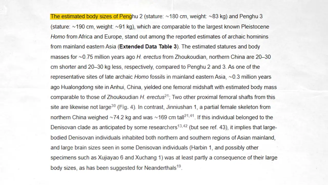 Something Doesn’t Add Up About the Denisovans