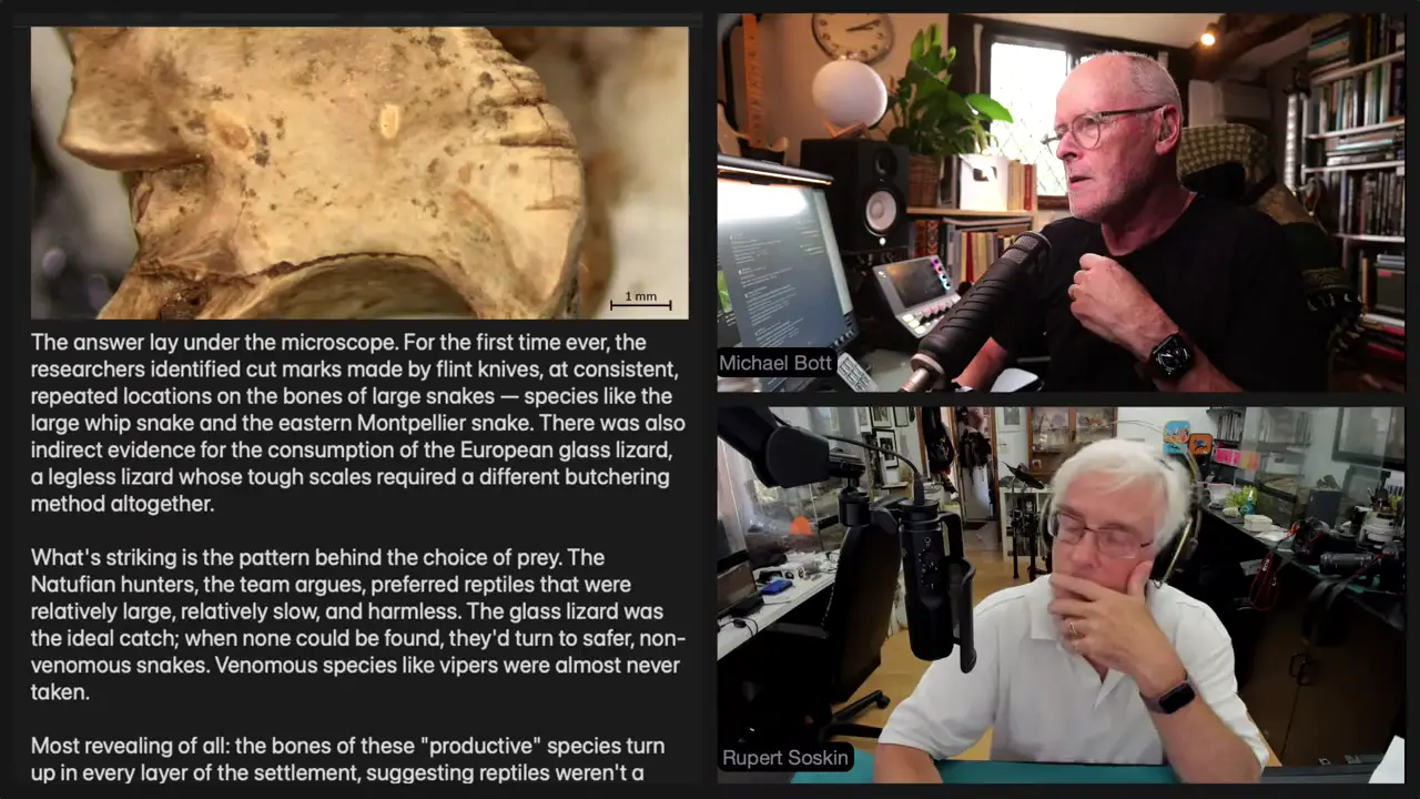 LIVE ~ PREHISTORIC ARCHAEOLOGY NEWS From Around the World | 27/08/2026 02:00PM BST