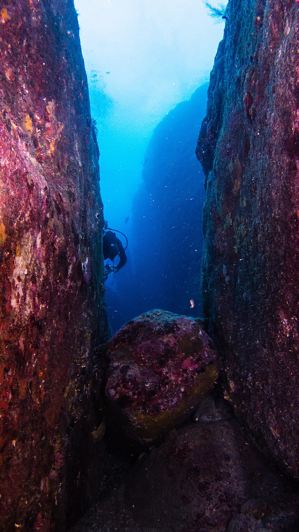 gallery:dd599d83|verified:no|Yonaguni Monument DSC02806