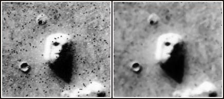 Cydonia medianrp