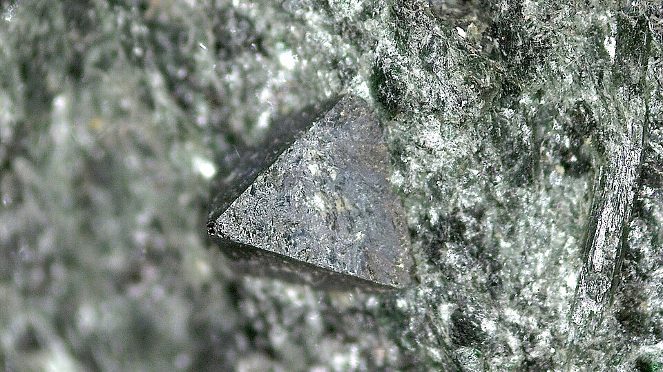 IMGP2025901 micro