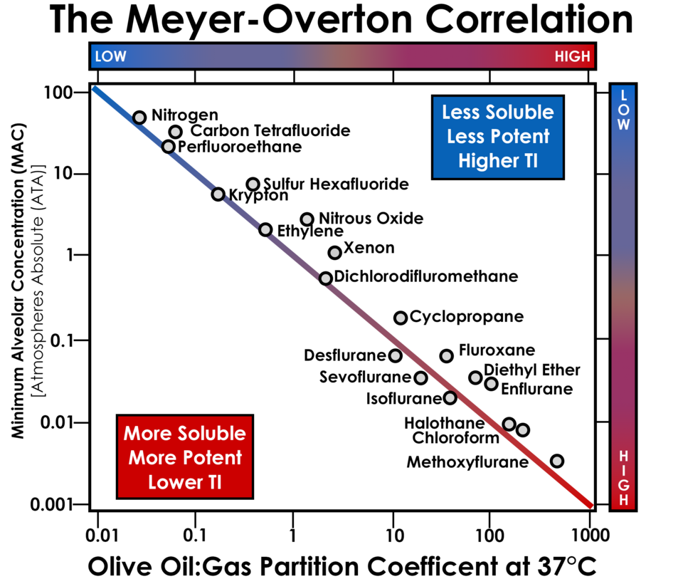 The Meyer-Overton Correlation (Final)