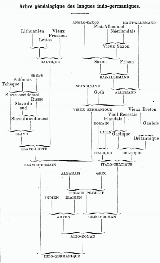 Tree diagram of Indo-European languages, by Haeckel (1874)