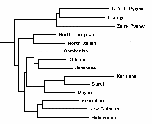 gallery:c156a0a9|verified:no|High resolution of human evolutionary trees