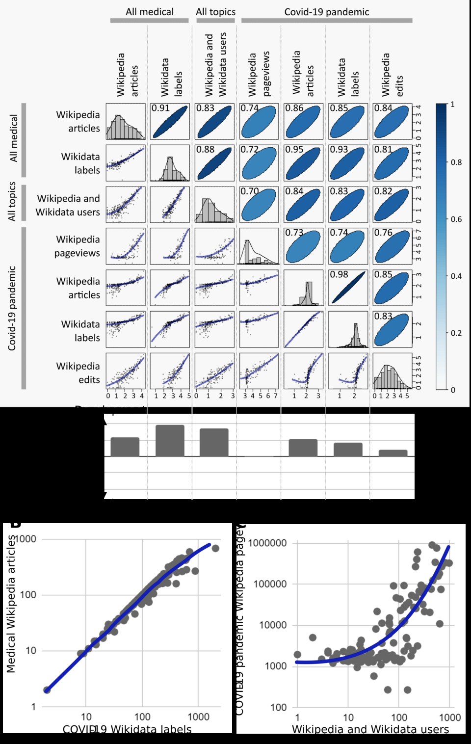 Wikipedia and Wikidata language correlations