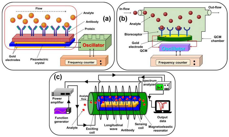 Piezoelectric-based biosensor, quartz crystal microbalance-based biosensor, and magnetoelastic-based biosensor