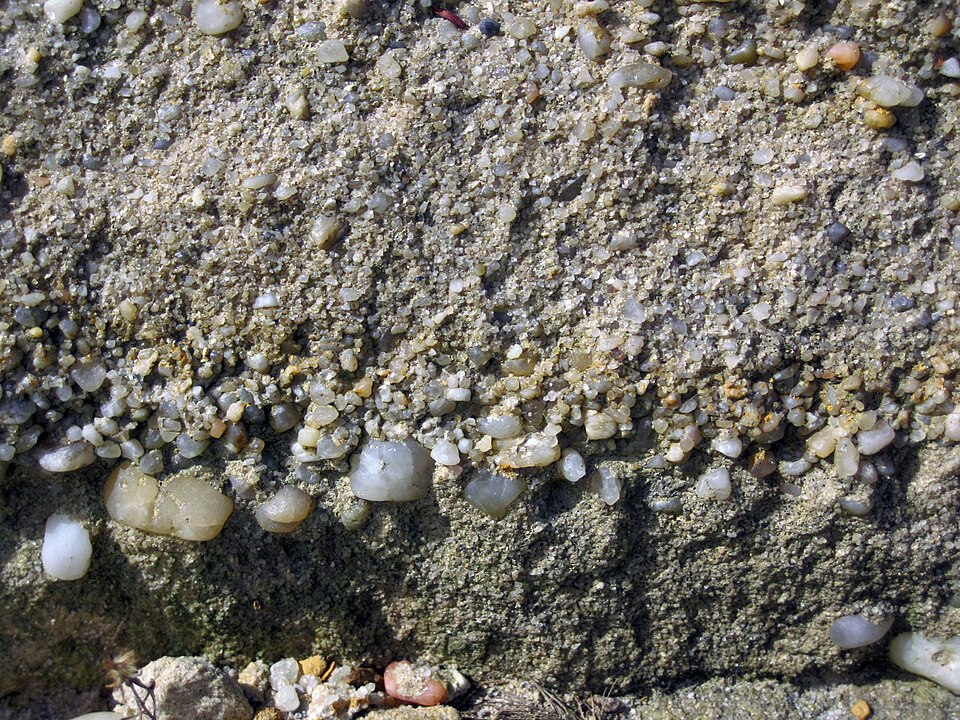 Graded bedding in conglomerate & pebbly sandstone ("Sharon" Conglomerate, Lower Pennsylvanian; Jackson North roadcut, Ohio, USA) 1
