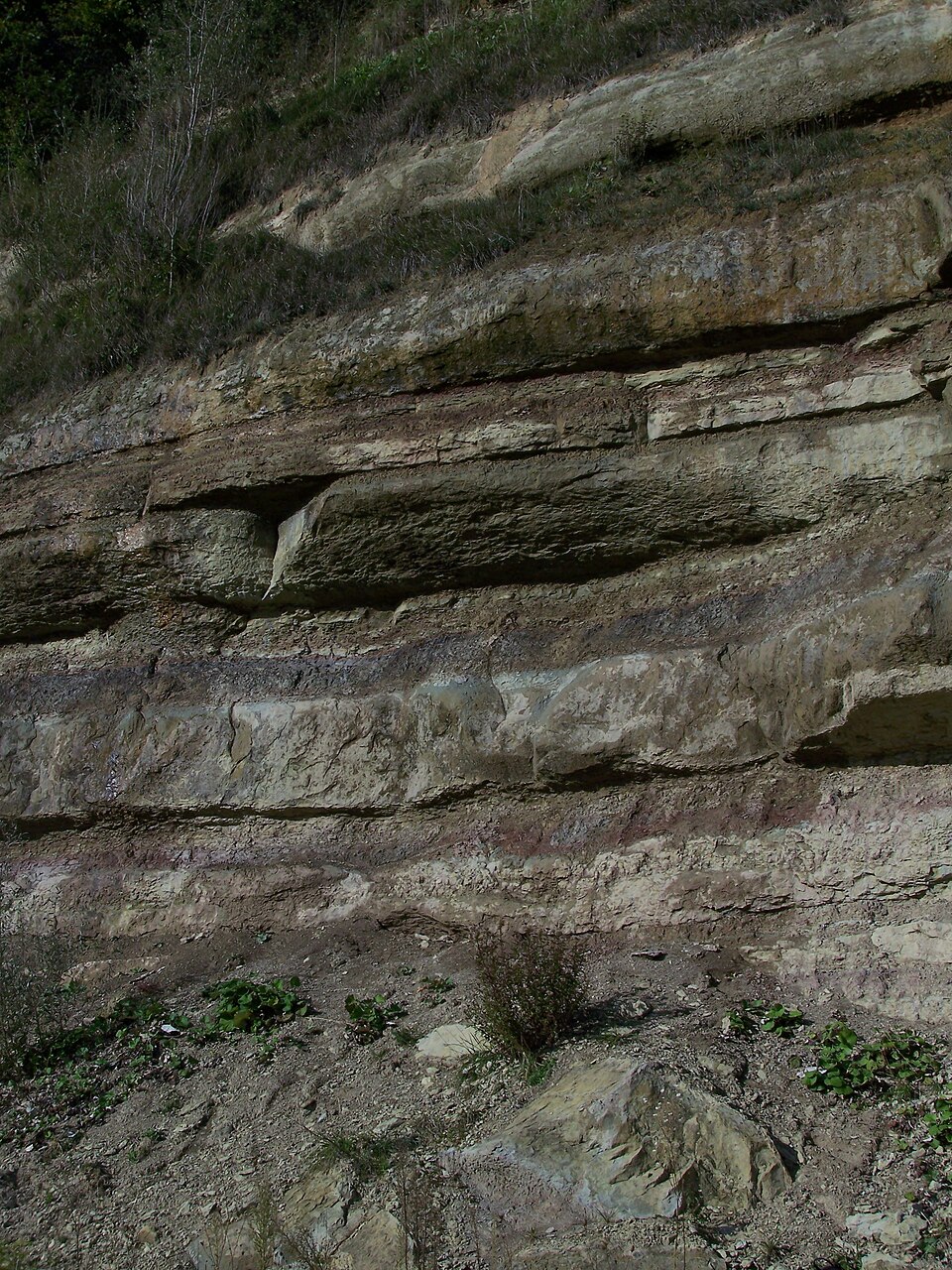 USM fluviatile sandstone Wallenried