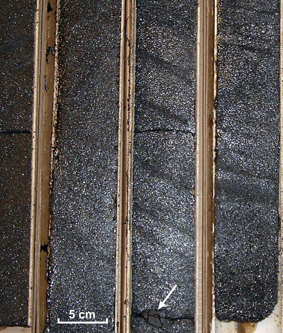 Oil Sand Drill Cores