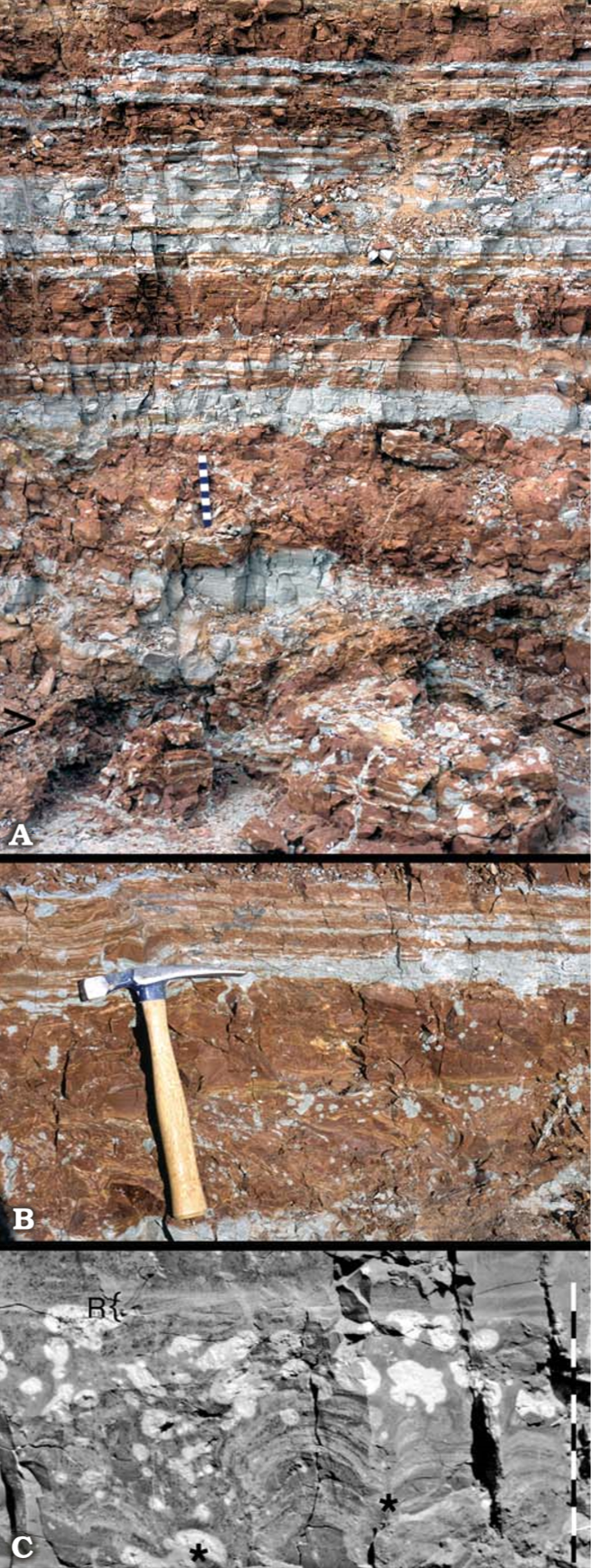 Suhongtu quarry sediments