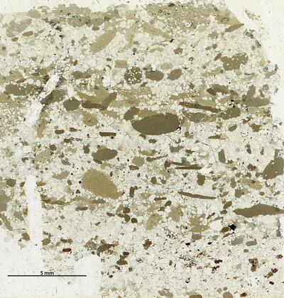 sedimentary rocks
