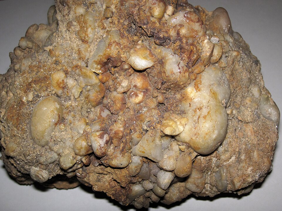 Quartz-pebble conglomerate (Sharon Conglomerate, Lower Pennsylvanian; Toboso East outcrop, Licking County, Ohio, USA) 2