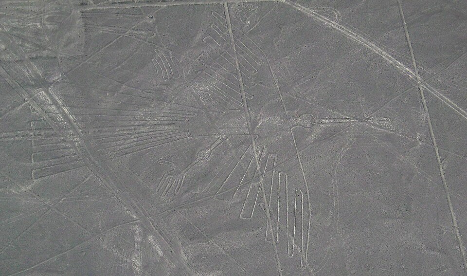 gallery:73ee4de2|verified:yes|Nazca bird